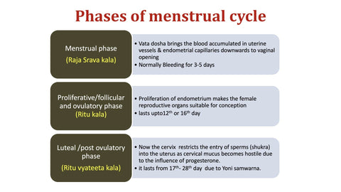 phase of the menstrual cycle