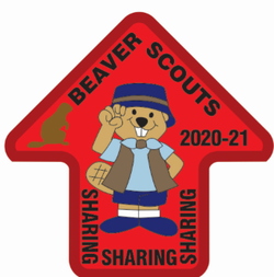 BEAVERS - ARROW CREST - 2020-21