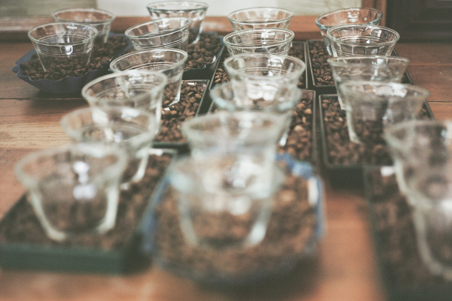 Coffee Cupping Lab