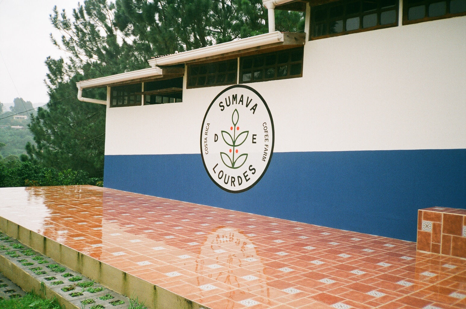 Sumava Coffee Farm in Costa Rica