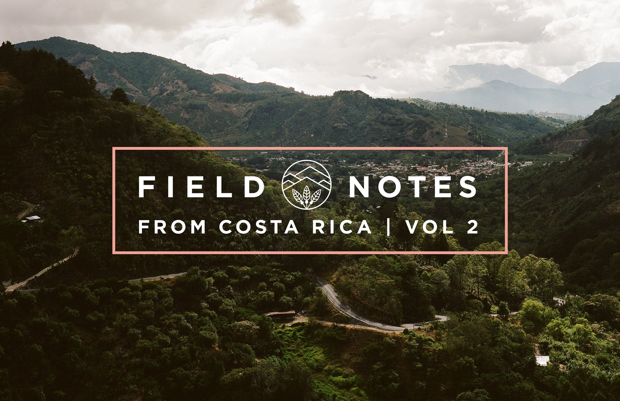 Field Notes from Costa Rica Vol. 2