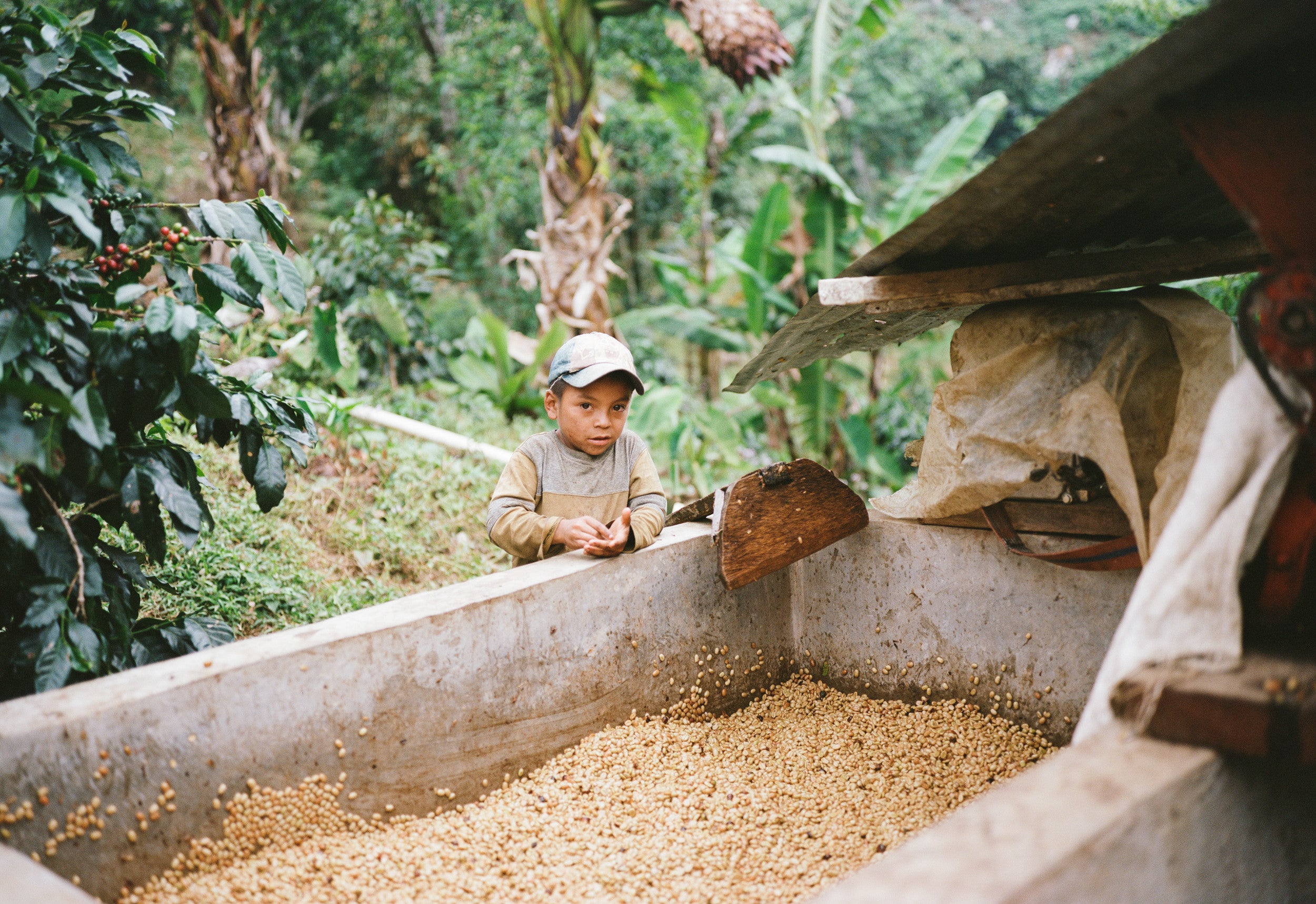 on location at the farm of Juan Benitez.