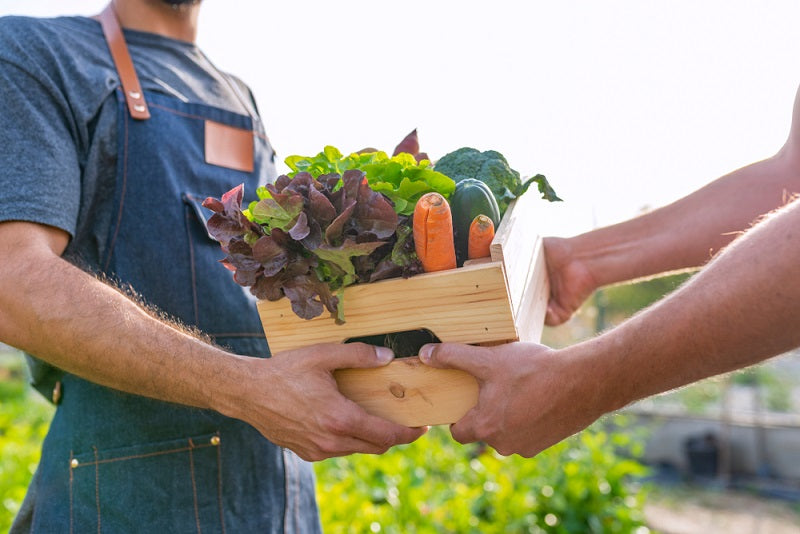 Fresh local products