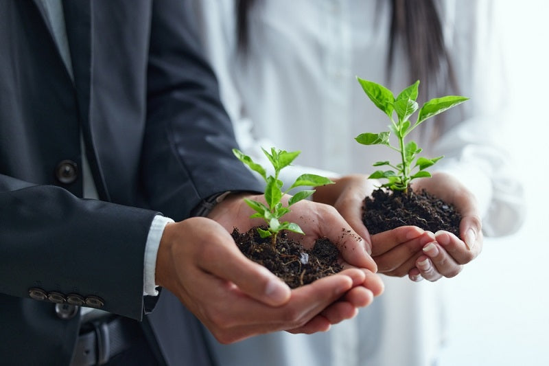 Two people in business attire holding a plant