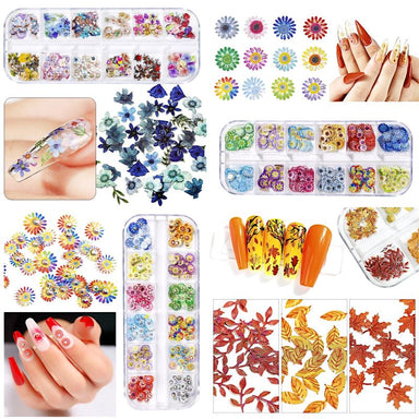 Dry Flowers 12 Colours Box For Nail Art Designs — NSI Australia