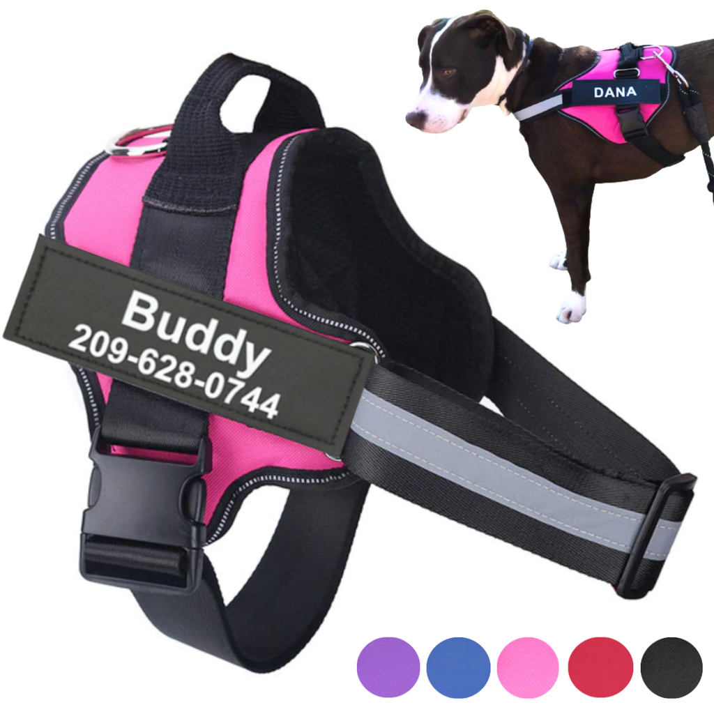 Dog Harness No Pull Harnesses With Handle Custom Personalized Name Tag