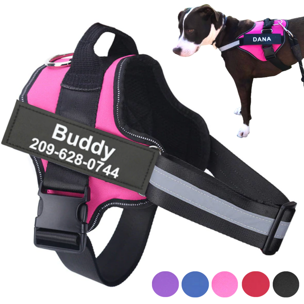 Dog Harness No Pull Harnesses With Handle Custom Personalized Name Tag – Little Unique Shop