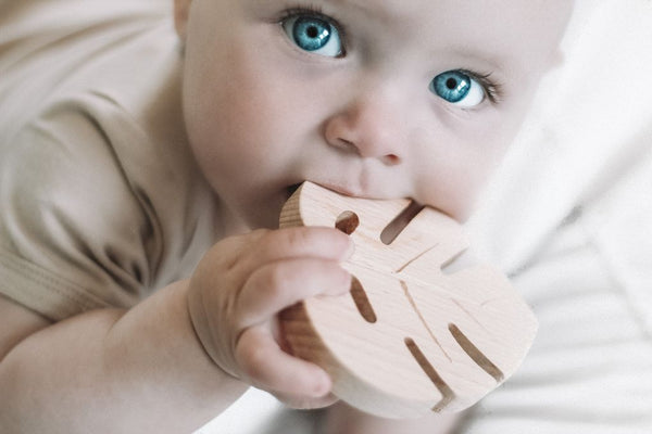 leaf teether