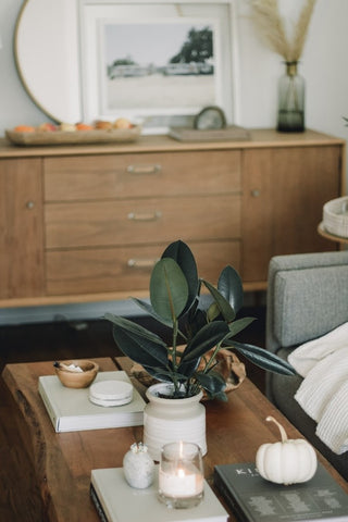 modern living room with fall-themed accessories