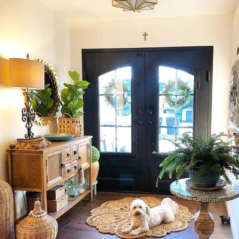 A foyer entrance with steel door, wooden floor, and a potted plant.