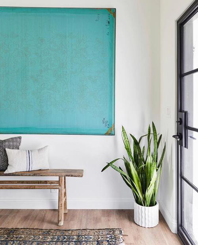 Room entrance with a potted plant,a  blue accent wall, and a black steel door.