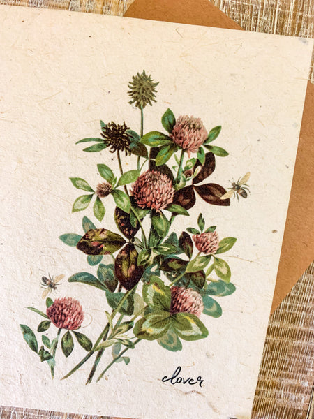 Eco friendly plantable greeting cards on flower seed paper, clover picture
