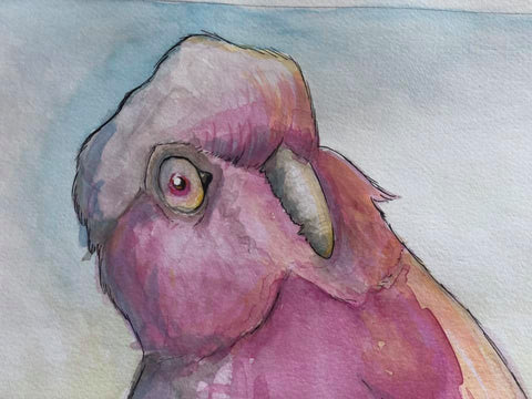 Galah painting by Stu Nankivell from Paint and Plonk at Sevenhill
