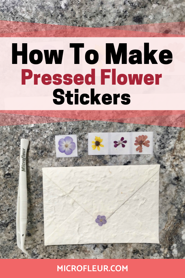 How To Make Fun Pressed Flower Stickers - Sow ʼn Sow