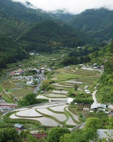 Kamikatsu village Japon