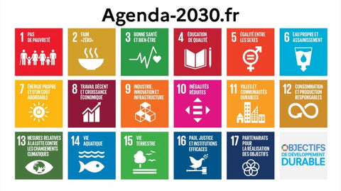 Agenda 2030 - 17 ODD fixés par l'ONU