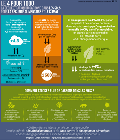 sequestration carbone dans les sols