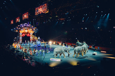 Cirque et animaux sauvages