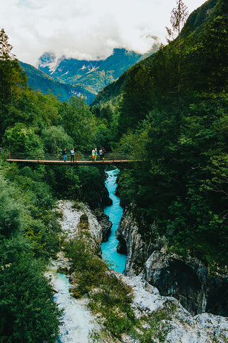 forêts slovènes