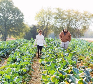 Soil health for your health