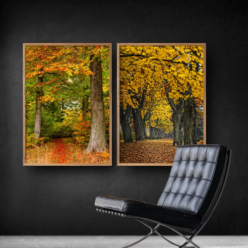 to plakater efterårsbilleder fra skoven