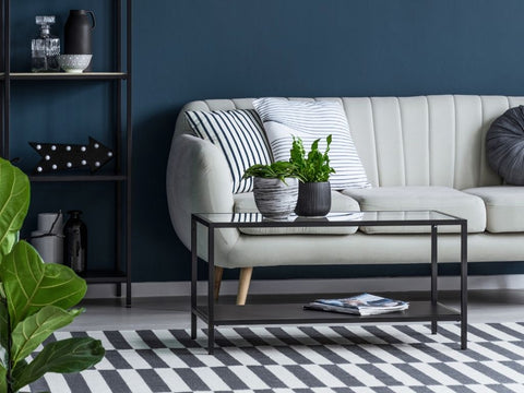 checkered rug with beige sofa, green plants and navy painted walls