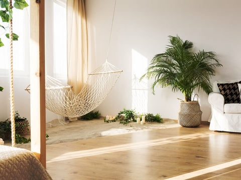 Light beige walls, dark beige curtains, wooden floor with pops of green plants