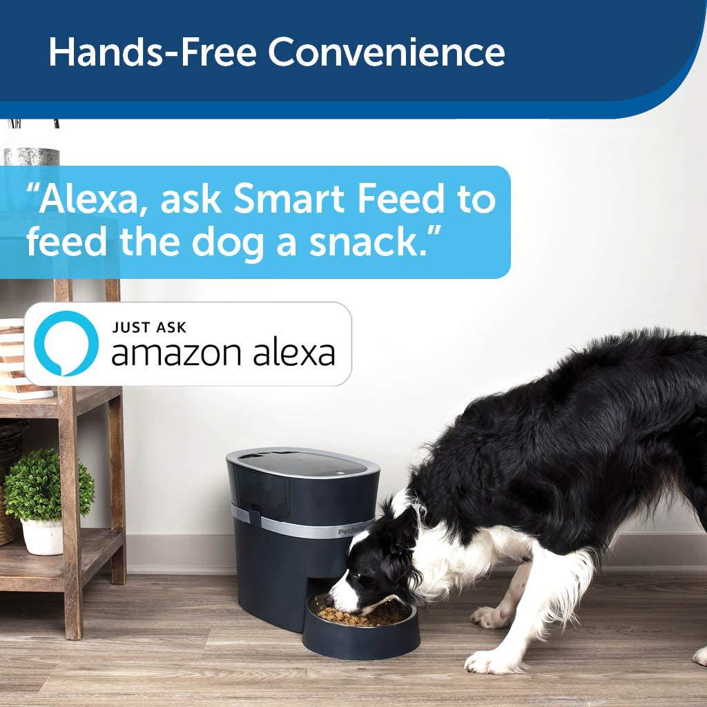 alexa enabled dog feeder