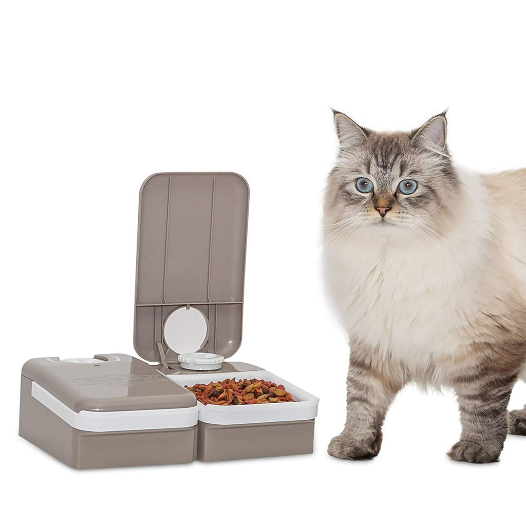 automatic dispenser cat food