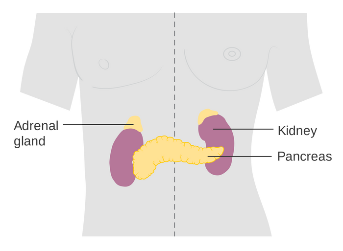 overactivity of the adrenal gland medical term