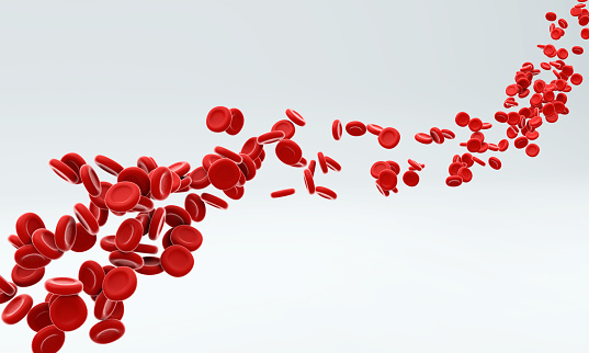 Blood cells