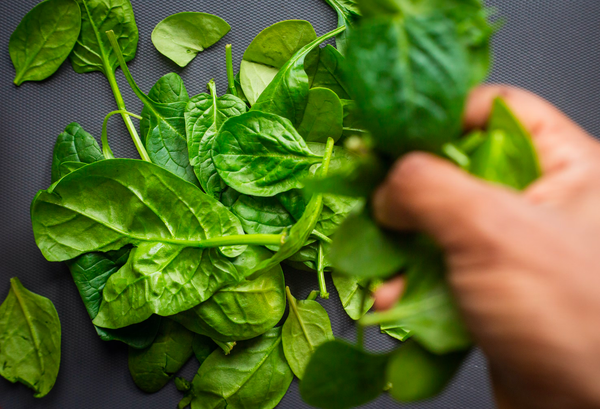 Spinach leaves rich in Iron