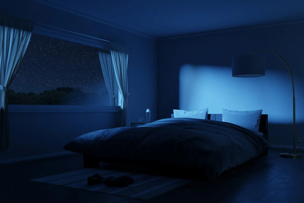 Dark bedroom at night