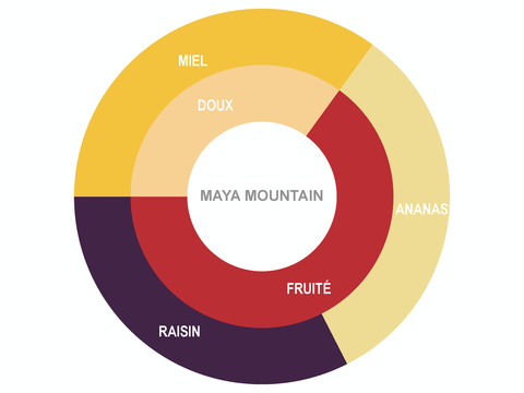 Roue de saveur Maya Mountain