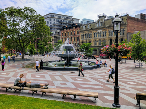 Berczy Park - Dog Park in Toronto