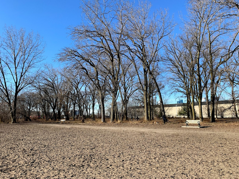 Cherry Beach Off Leash Dog Park - Dog Park in Toronto