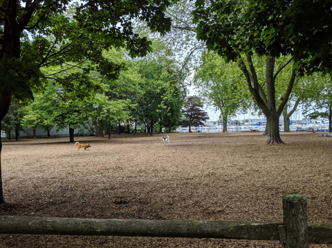 Coronation Park Offleash Dog Park - Dog Park in Toronto