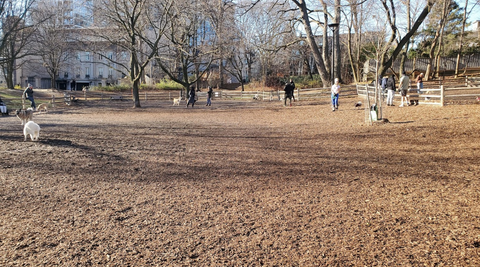 Ramsden Dog Park - Dog Park in Toronto