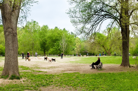 Sunnybrook Dog Park - Dog Park in Toronto