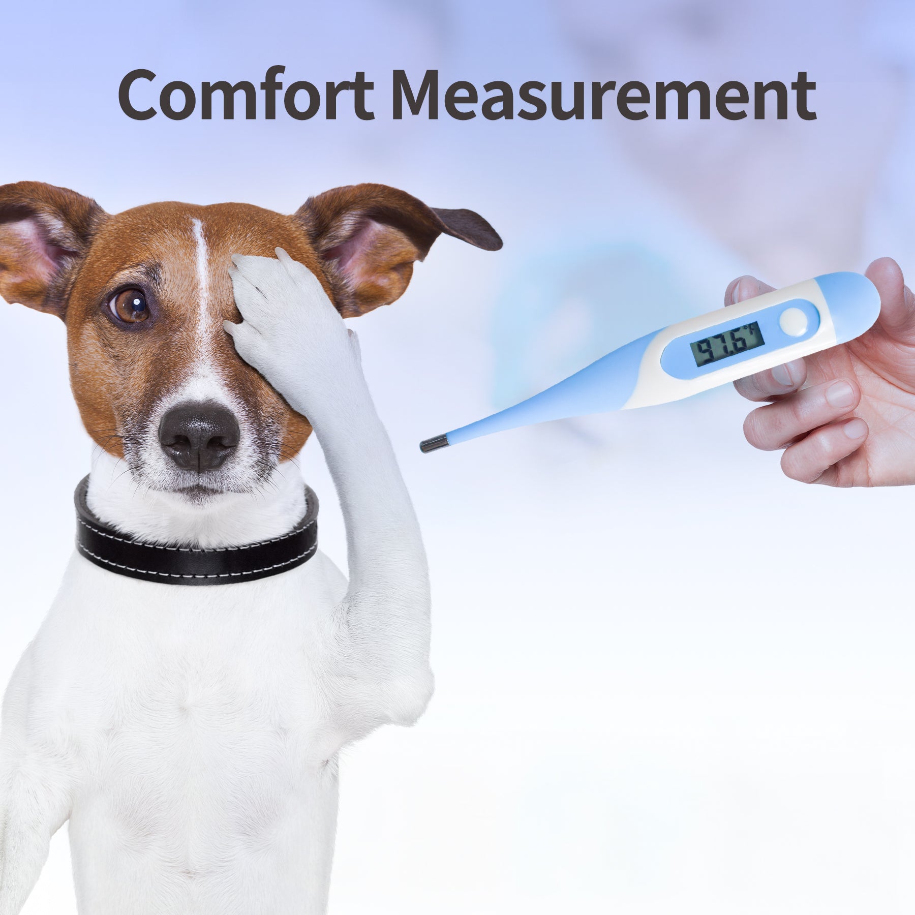  Pet Dog Thermometer for Home & Vets - Veterinary