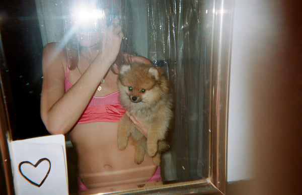 Woman taking a photo of herself in a pink bra and a dog in front of a mirror.