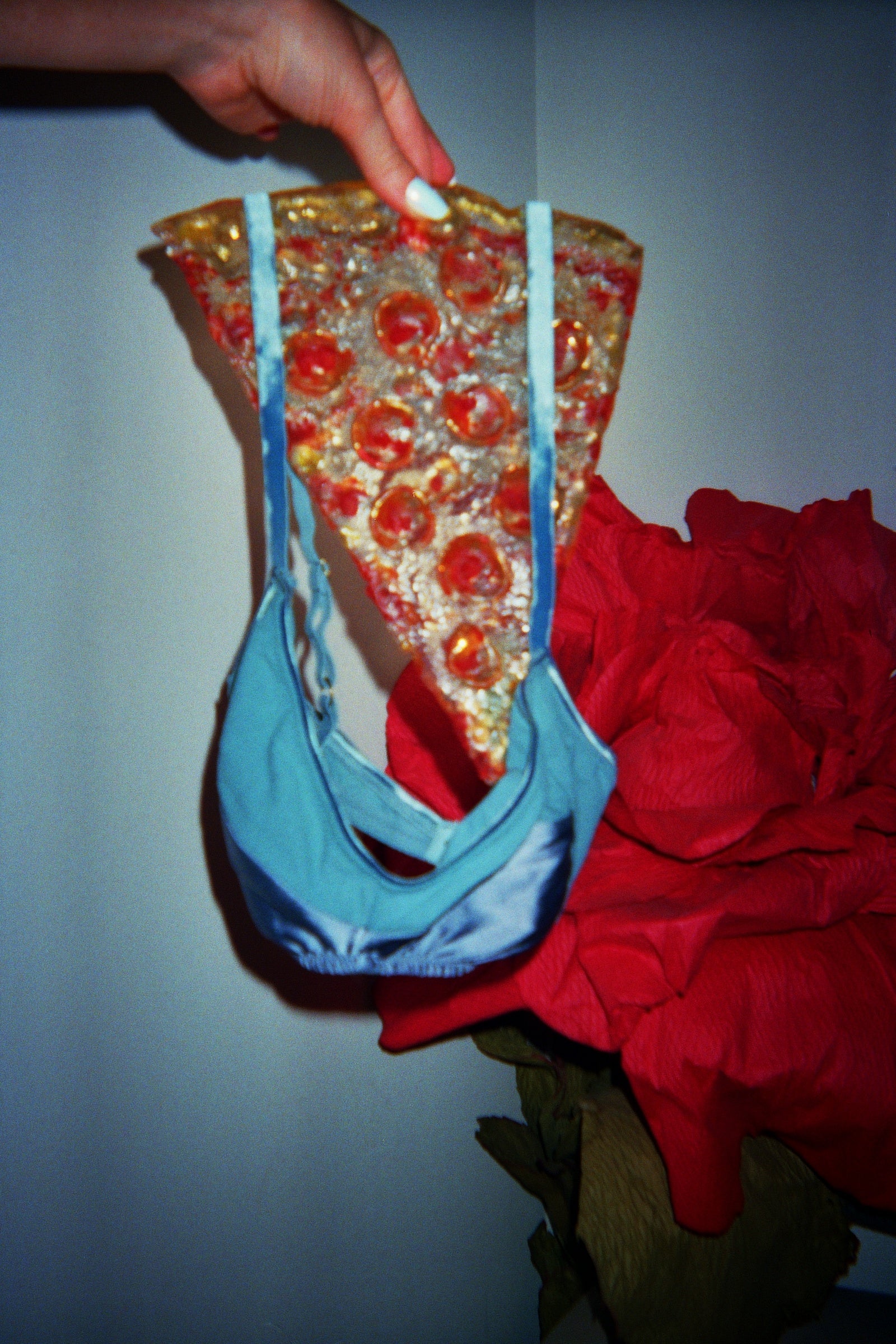 A pink and blue bra hanging from a green plant.