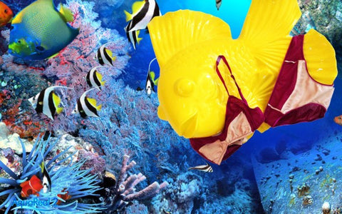 Fish aquarium with a yellow rubber fish in a red and pink bra and underwear.