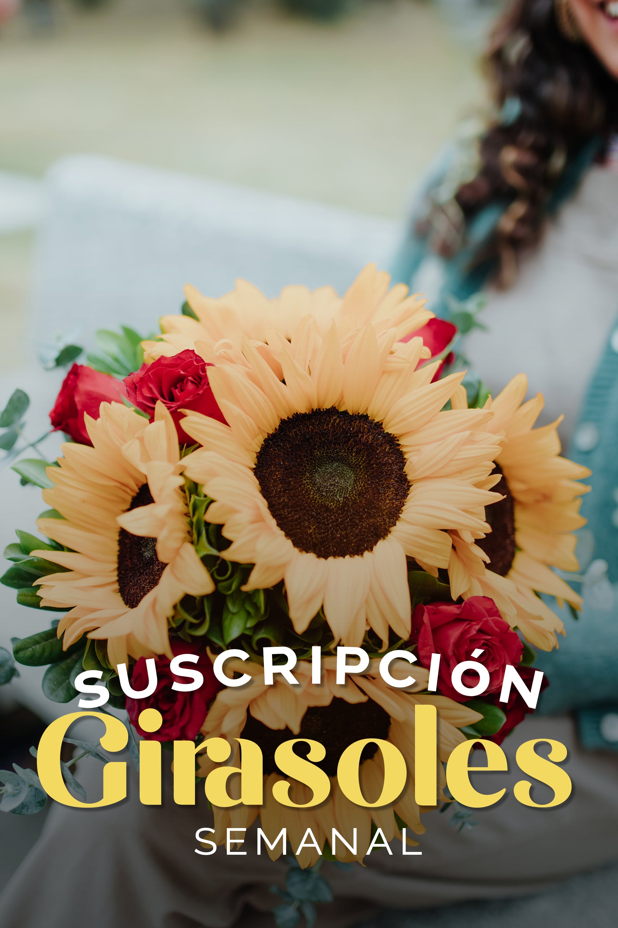 Suscripción Girasoles Semanal – Verbena Flores | Flores a Domicilio en Todo  México
