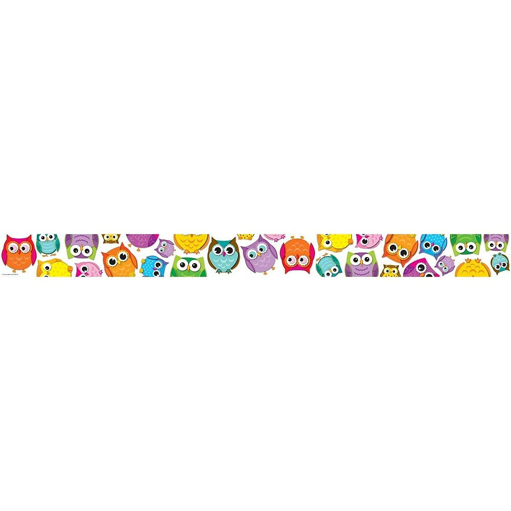 Image of Carson Dellosa Colourful Owls Straight Borders, 72 Pack, 12 Pack