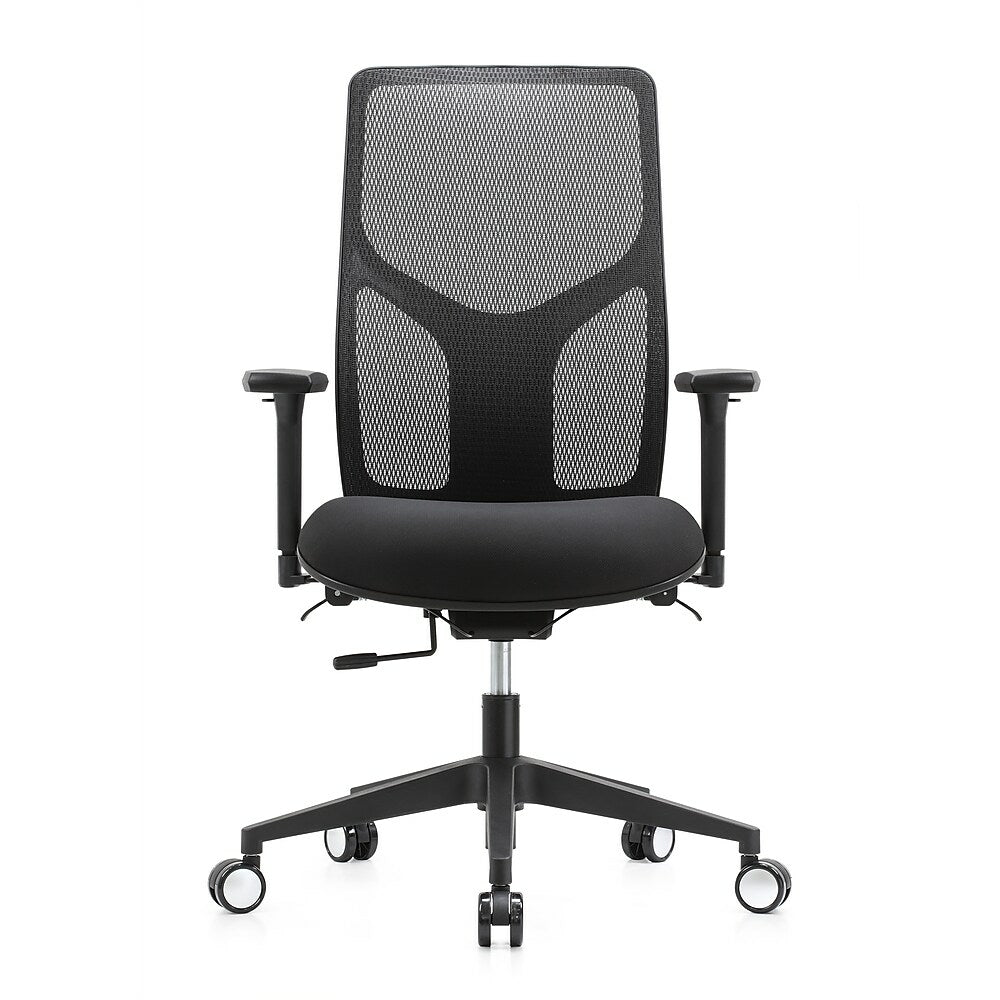 raynor high back executive mesh chair black  staplesca