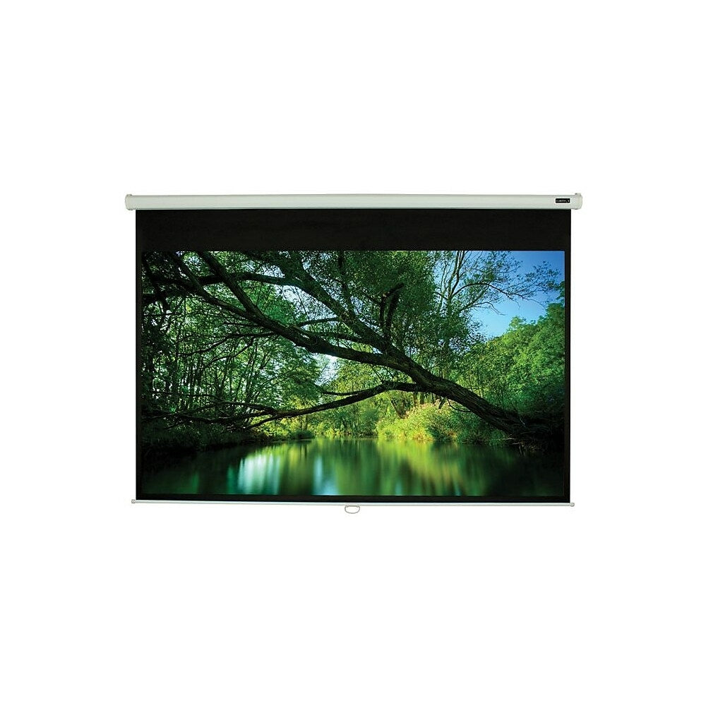 Image of EluneVision 92" Triton Manual Pull-Down Projector Screen, 16:9