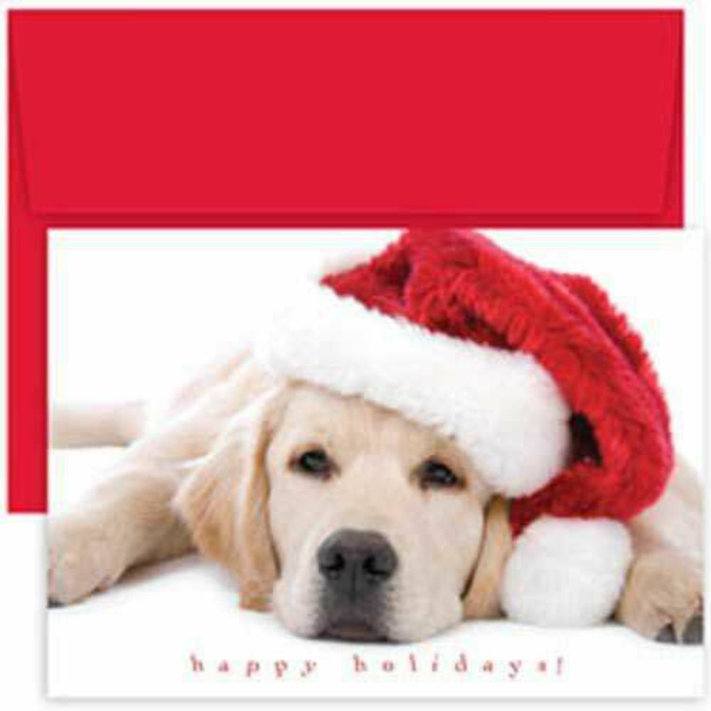 Image of JAM Paper Christmas Cards Set - Santa Puppy - 18 Pack