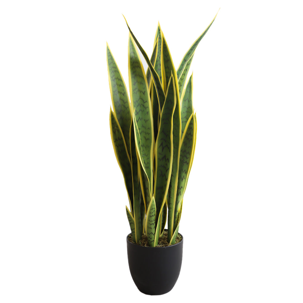 Image of Homeworks Artificial Sansevieria Plant - 35.43"