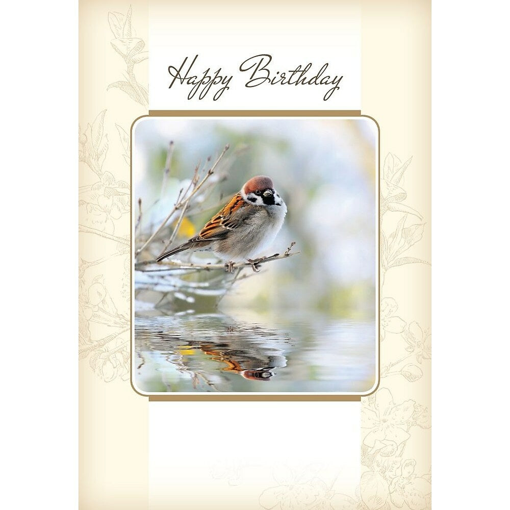 Cartes De Souhaits Joyeux Anniversaire Oiseau 18 Paquet Bureauengros Com